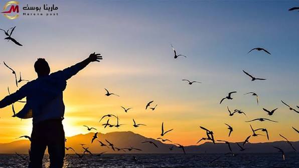 ماهية الحرية